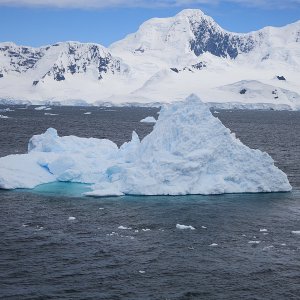 Eisberg vor Cuverville Island