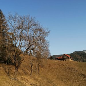 Gasthaus Hutterer