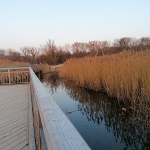 Nationalpark Donauauen, Lobau