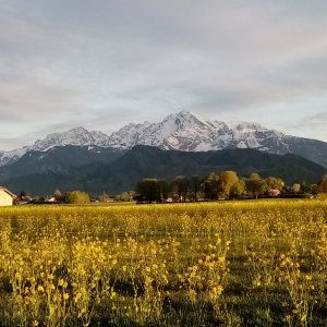 Hoher Göll von Anif aus 8.5.2021