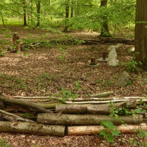 Gräber- und Gedenkstätte für unsere Hunde u. andere Tiere.
