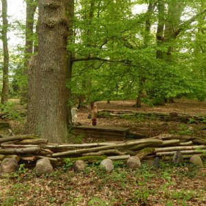 Gräber- und Gedenkstätte für unsere Hunde u. andere Tiere.