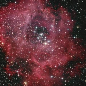 Rosettennebel NGC 2244