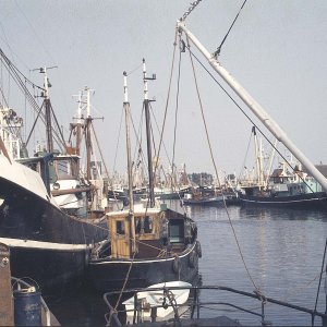 Hafenszene, Fischerboote