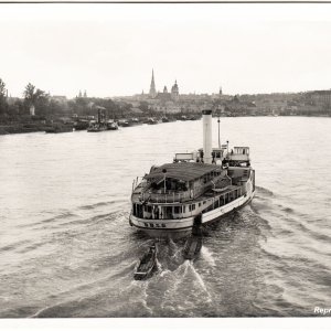 Linz mit D.D.S.G. Dampfschiff