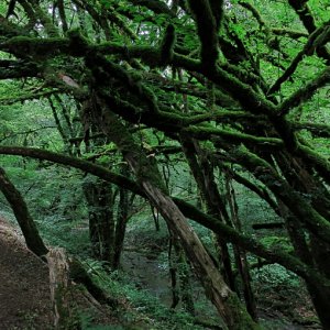 Wandern am Wildbach 2