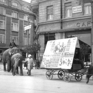 Zirkus Einzug Baden bei Wien 1934