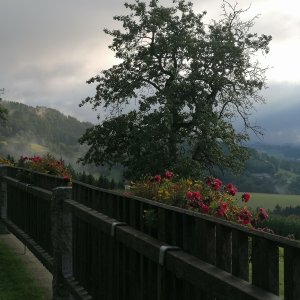 Morgengrauen in Königswiesen