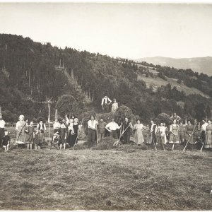 Mahd in Ferndorf, Kärnten