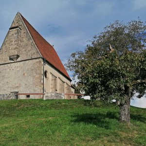 Wenzelskirche