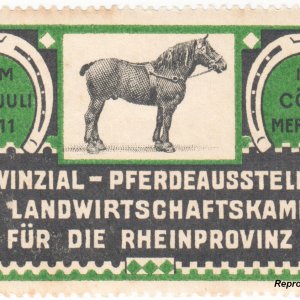 Reklamemarke Pferdeausstellung Rheinprovinz 1911