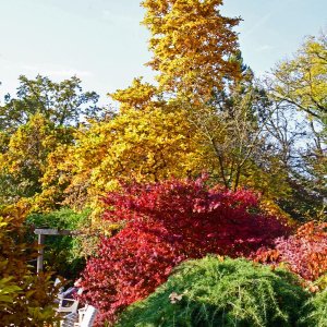 botanischer Garten