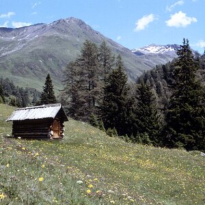 Heuhütte einer Alm Langtaufers 1980er