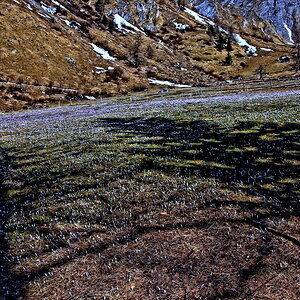 Frühlingserwachen