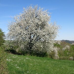 Ostermontagspaziergang