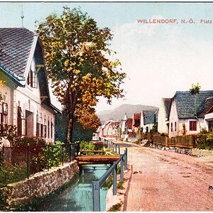 Willendorf, Steinfeld, 1913