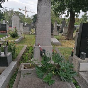Evangelischer Friedhof in Wien Favoriten