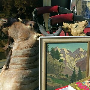Arlon Flohmarkt 2