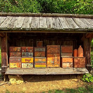 Bienen