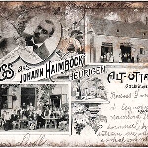 Wien, Heuriger Johann Haimböck