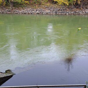 Schwarzes Wasser im Donaukanal Wien Simmering