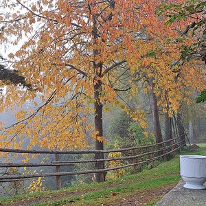 Kaffee auf der Grössingalm