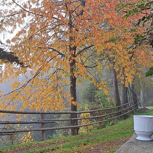 Kaffee auf der Grössingalm