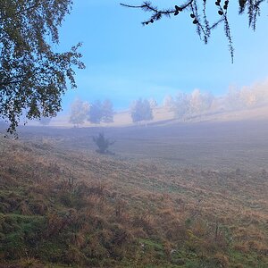 Der Nebel lichtet sich