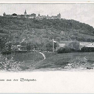 Wien, Gruß aus der Wildgrube