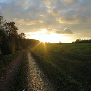 Herbstnachmittag