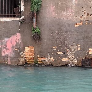 Banksy in Venedig