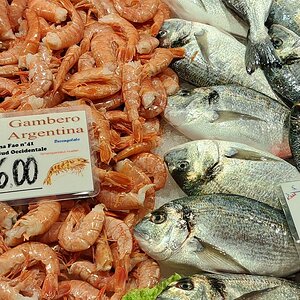 Rialto Fischmarkt