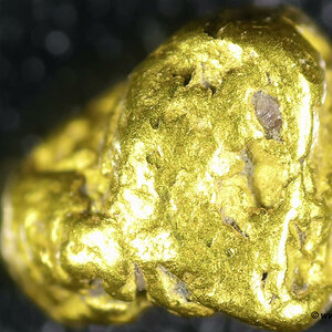 Gold Nugget Waschgold