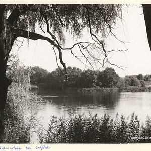 Teich im Waldviertel bei Gföhl im Sommer 1958