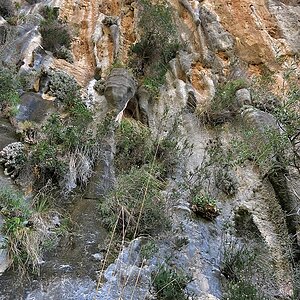 In der Schlucht von Biniaraix