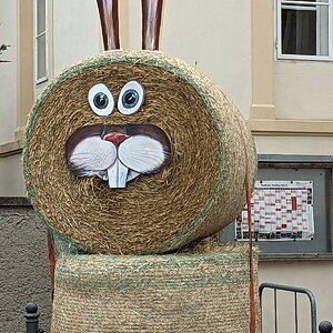 Osterhase