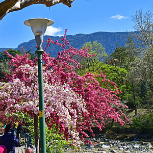 Meran, Gilfpromenade