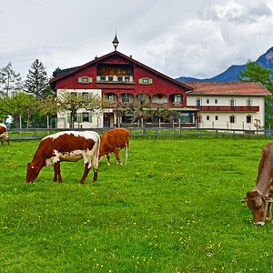 Innsbruck, Natters, Eichhof
