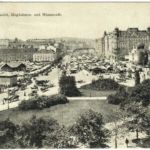 Wien Naschmarkt im Jahr 1911