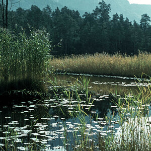 Völser Weiher, Schlern, 1955