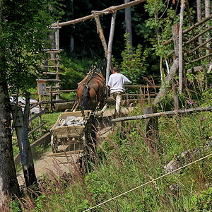 Burgbau Friesach, Kärnten 2023