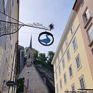 Salzburg Wirtshausausleger Blaue Gans