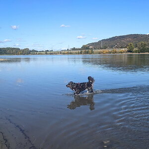 blaue Donau