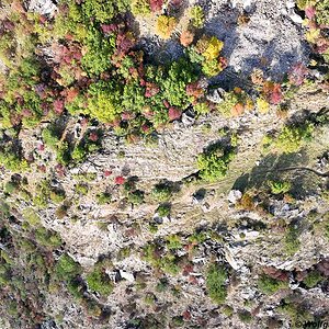 Wallburgboden Sonnenberg Naturns