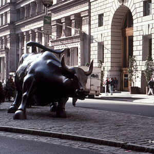 Medium 'Charging Bull, New York 1992' in der Kategorie 'USA'