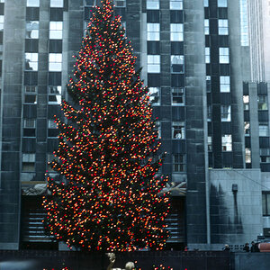 Christbaum Rockefeller Center  in New York City Dezember 1978