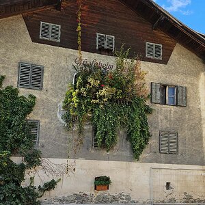 Gästeheim mit Balkonblumen