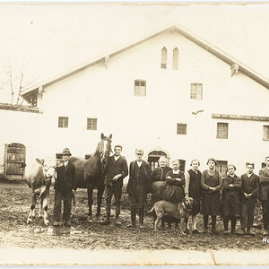 Bauernfamilie, Porträt mit Pferd, Kuh und Hund