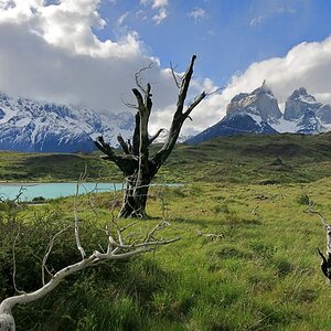 Medium 'Torres del Paine' im Album 'Patagonien'