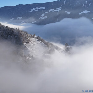 Nebel über Naturns